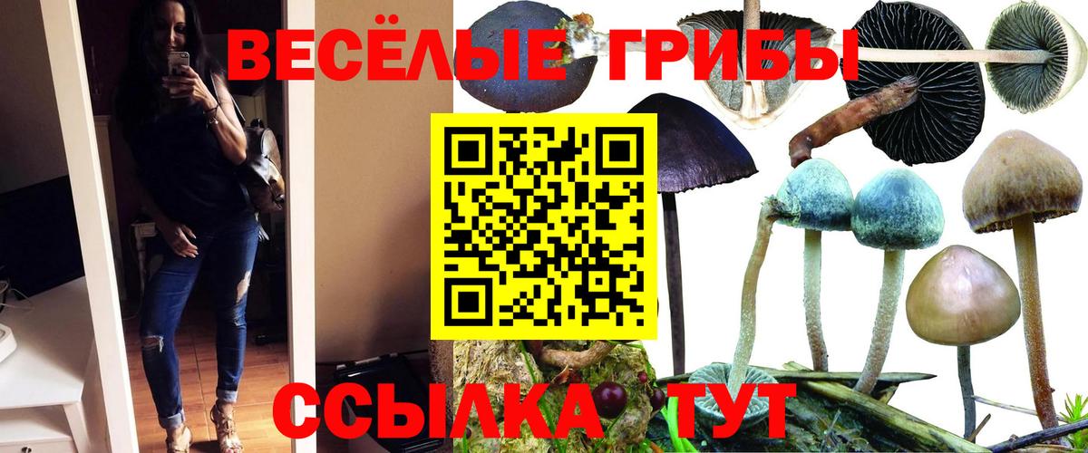 COCAIN  МДМА  Бошки Шишки  Гуково  Мефедрон   Вход с VPN  ГАШИШ  APVP СК  