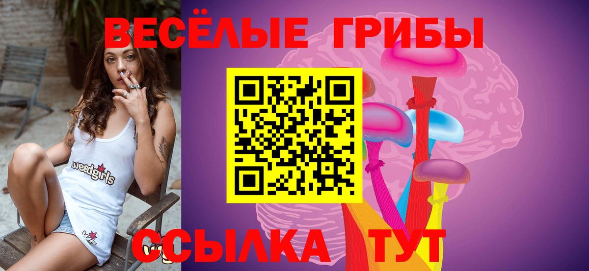 сколько стоит  Вход с VPN  Гуково  Псилоцибиновые грибы ЛСД 
